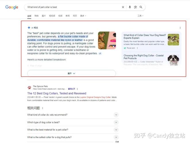 独立站页面被谷歌移除了？90%的人第一步就查错了